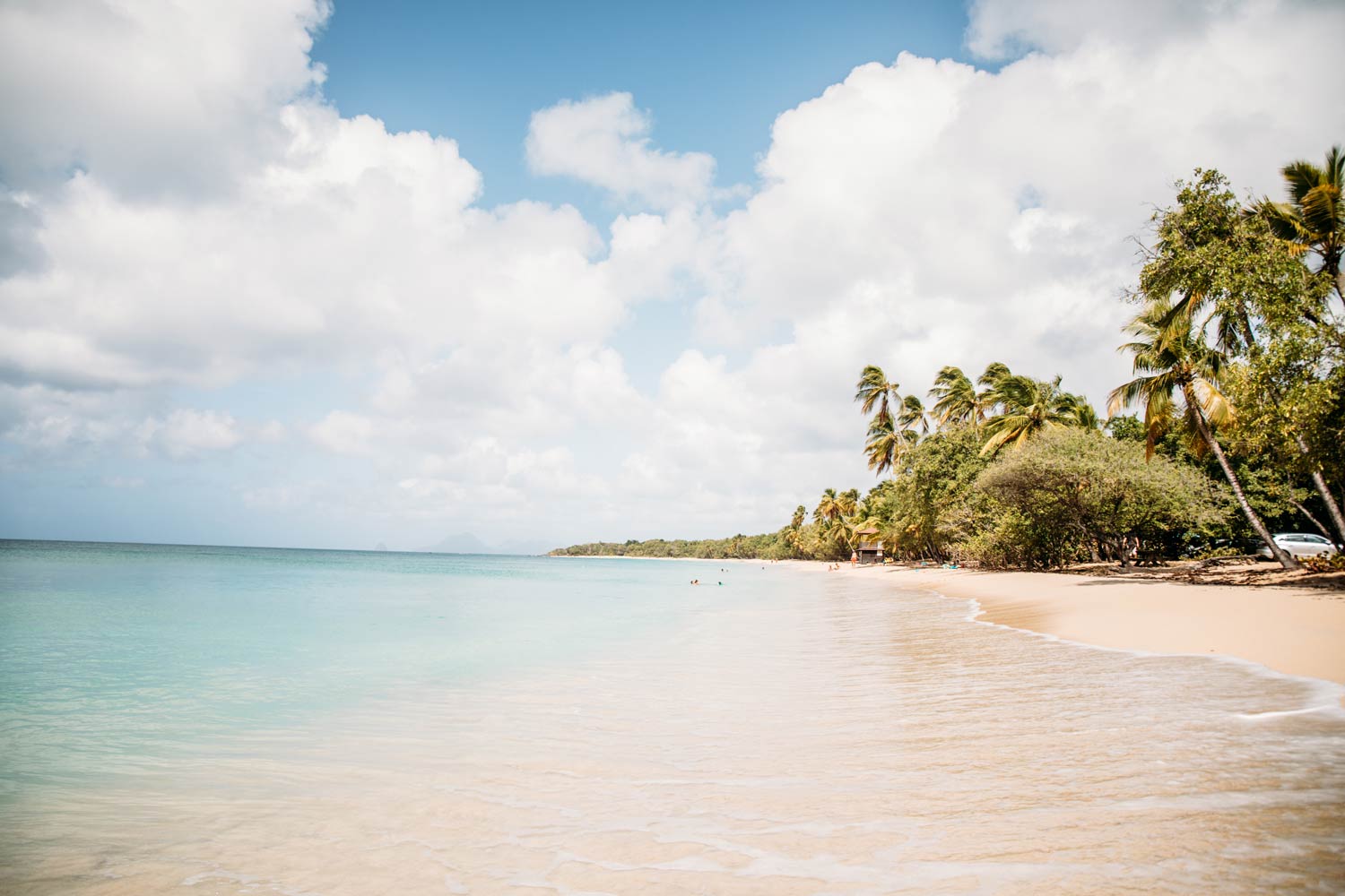 Grande Anse des Salines Martinique